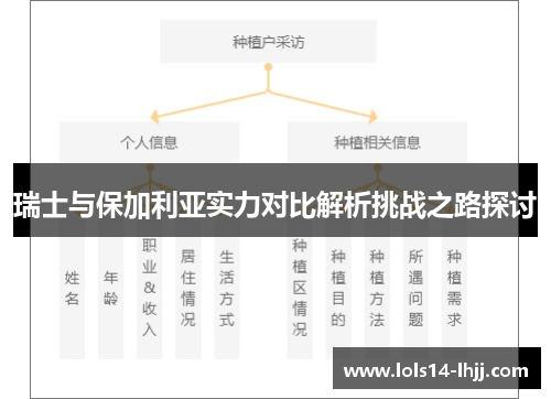 瑞士与保加利亚实力对比解析挑战之路探讨
