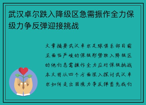 武汉卓尔跌入降级区急需振作全力保级力争反弹迎接挑战