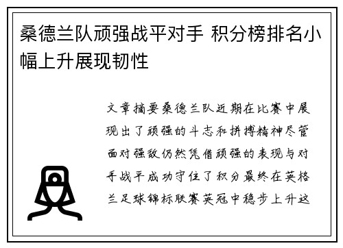 桑德兰队顽强战平对手 积分榜排名小幅上升展现韧性