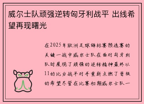 威尔士队顽强逆转匈牙利战平 出线希望再现曙光