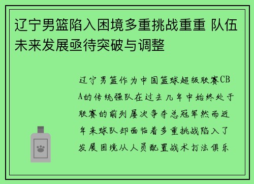 辽宁男篮陷入困境多重挑战重重 队伍未来发展亟待突破与调整